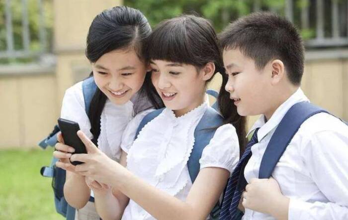 教育管理咨询服务